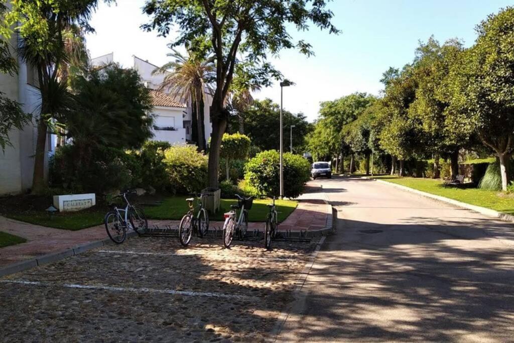 Apartamento En Playa Del Infante 罗塔 外观 照片